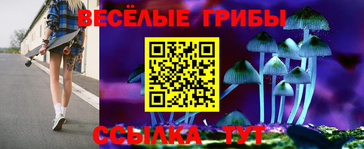 Псилоцибиновые грибы Magic Shrooms  Вход с VPN  Шелехов  Псилоцибиновые грибы Psilocybine cubensis 